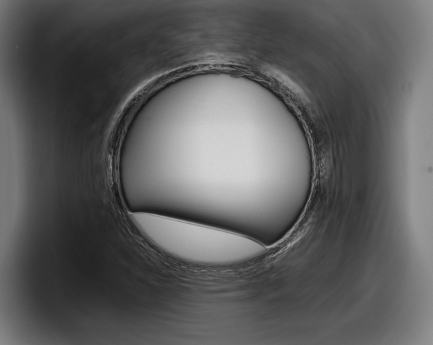 X0000098161310200804171209