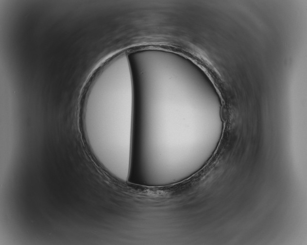 X0000098161312200804171209