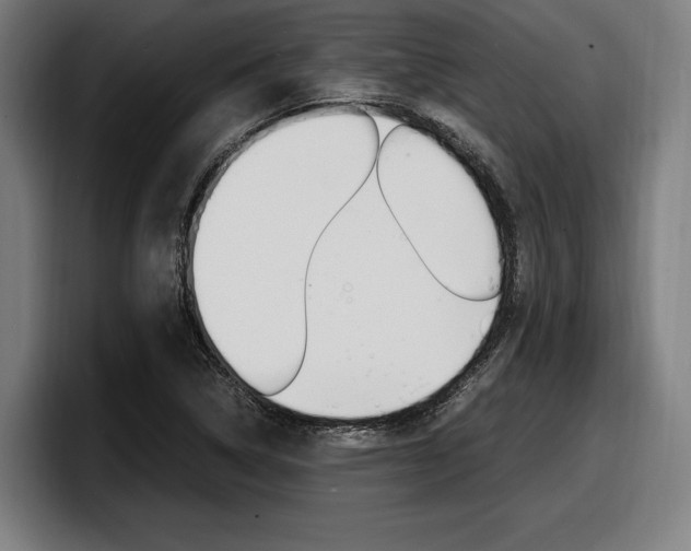 X0000098161314200804171209