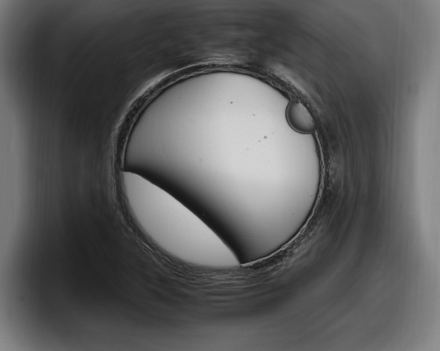 X0000098161315200804171209