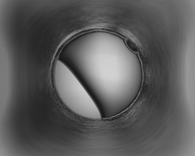 X0000098161316200804171209