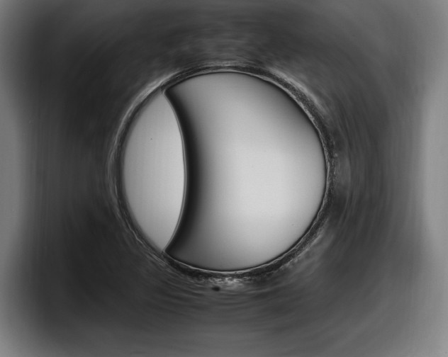 X0000098161317200804171209