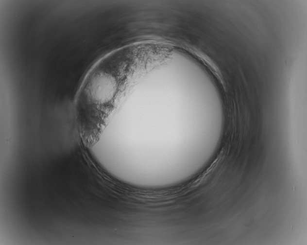 X0000098161318200804171209