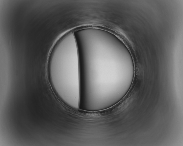 X0000098161320200804171209
