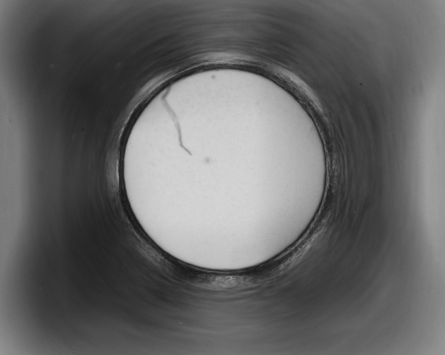 X0000098161322200804171209