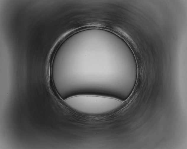 X0000098161323200804171209