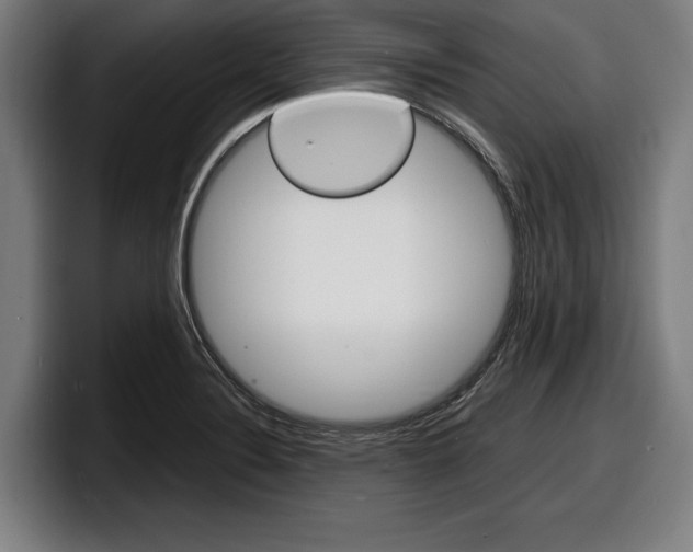 X0000098161324200804171209