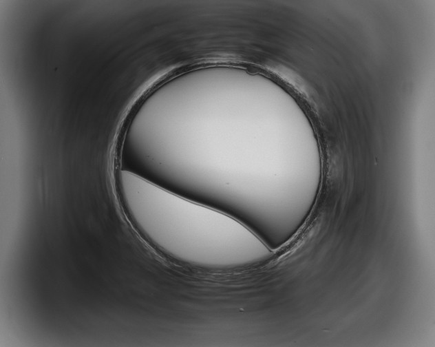X0000098161325200804171209