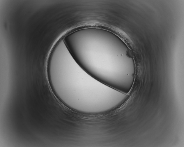X0000098161326200804171209