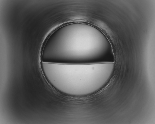X0000098161328200804171209