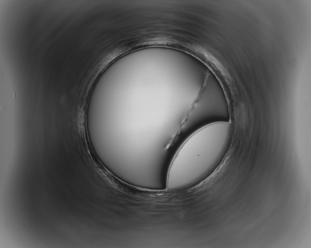 X0000098161329200804171209