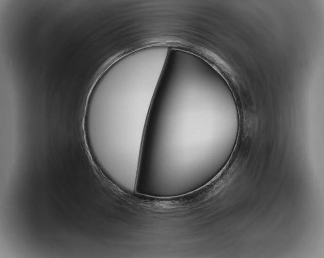 X0000098161330200804171209