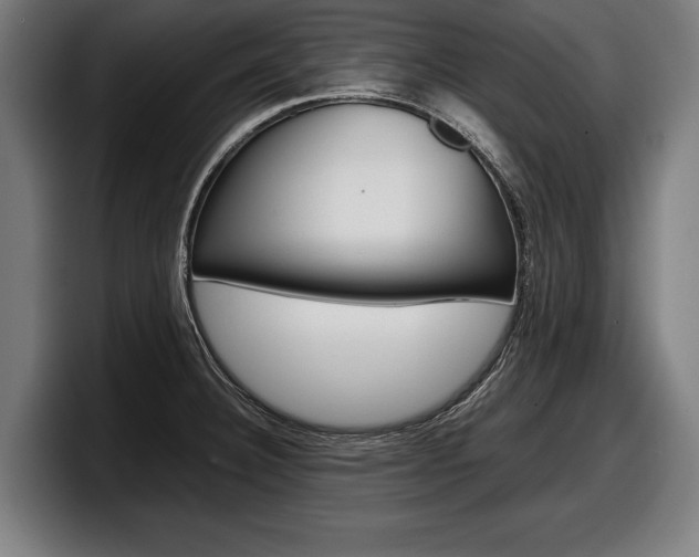 X0000098161332200804171209