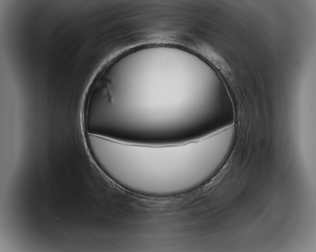 X0000098161334200804171209