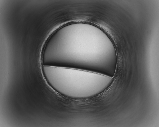 X0000098161335200804171209