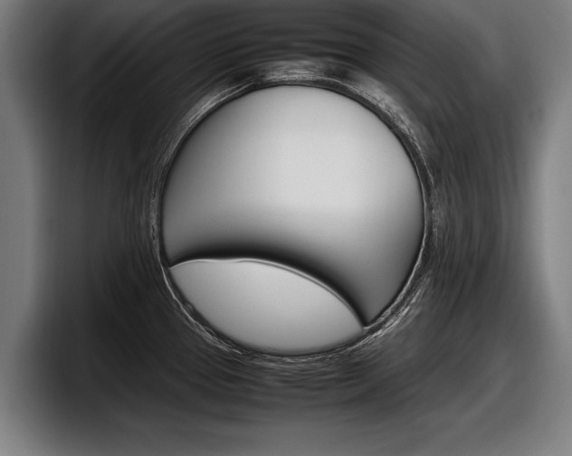 X0000098161337200804171209