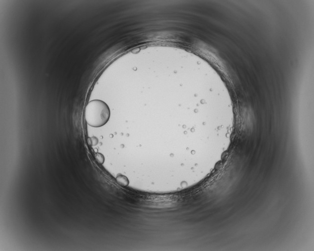 X0000098161338200804171209