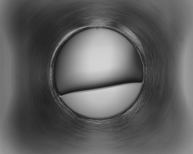 X0000098161340200804171209