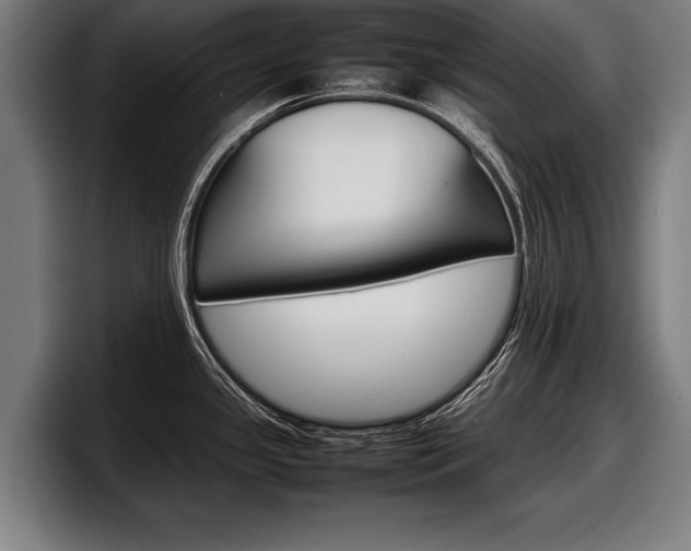 X0000098161341200804171209