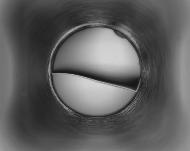 X0000098161343200804171209
