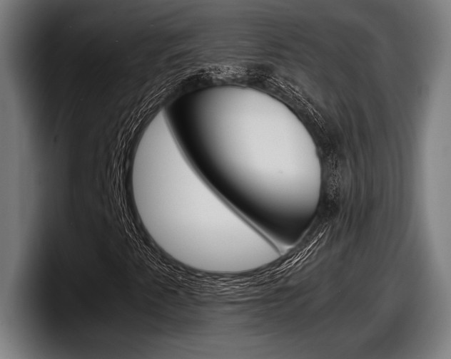 X0000098161345200804171209