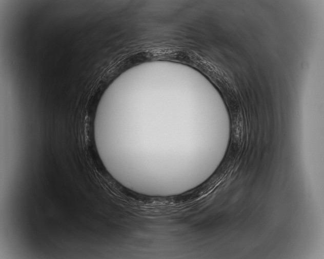 X0000098161346200804171209