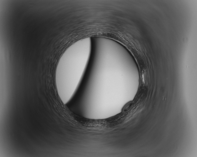 X0000098161347200804171209