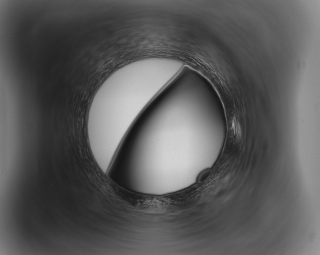 X0000098161348200804171209