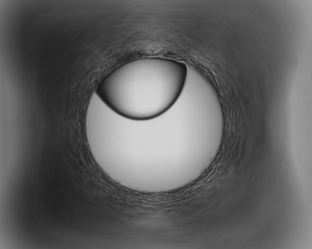 X0000098161349200804171209