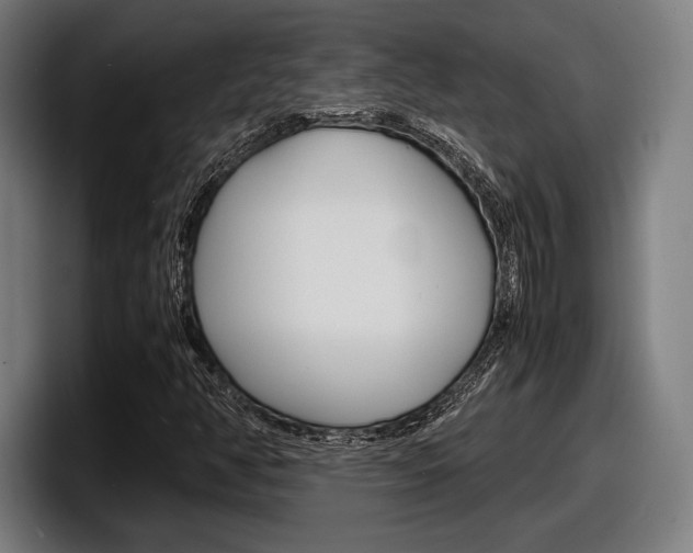 X0000098161350200804171209