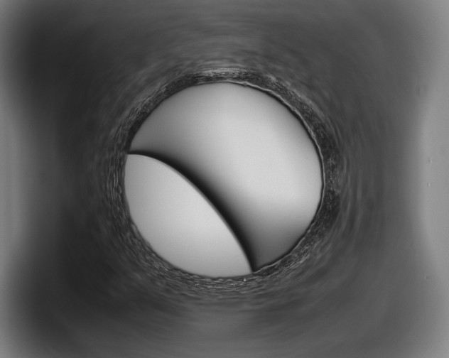 X0000098161351200804171209