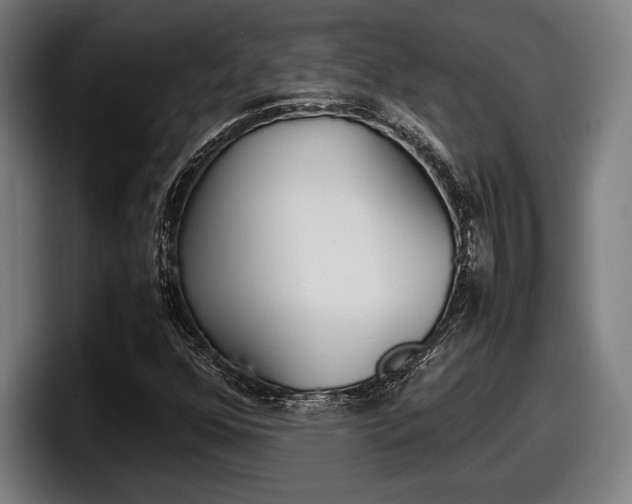 X0000098161352200804171209