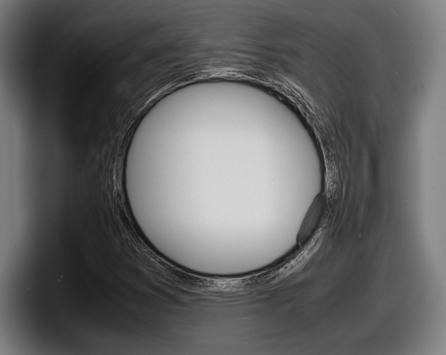 X0000098161353200804171209