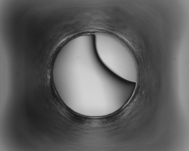 X0000098161355200804171209