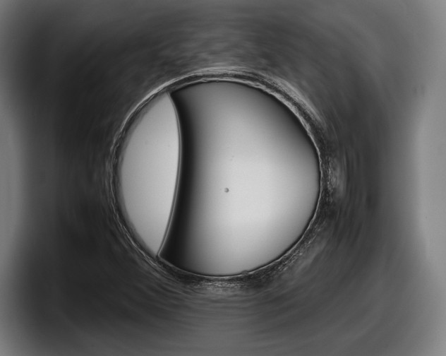 X0000098161356200804171209