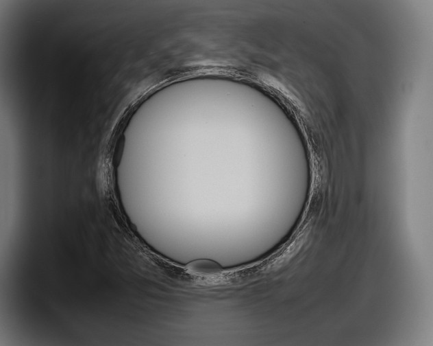 X0000098161357200804171209