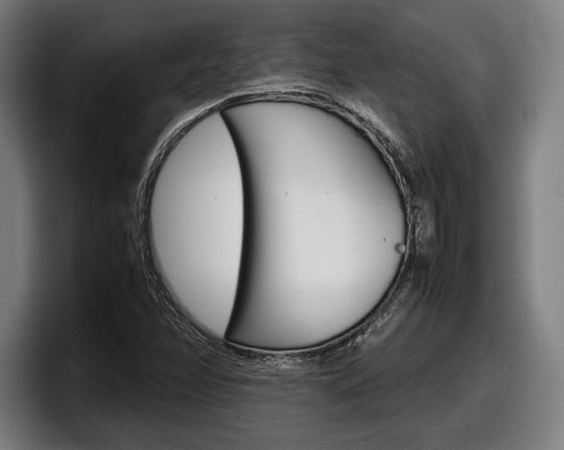 X0000098161358200804171209