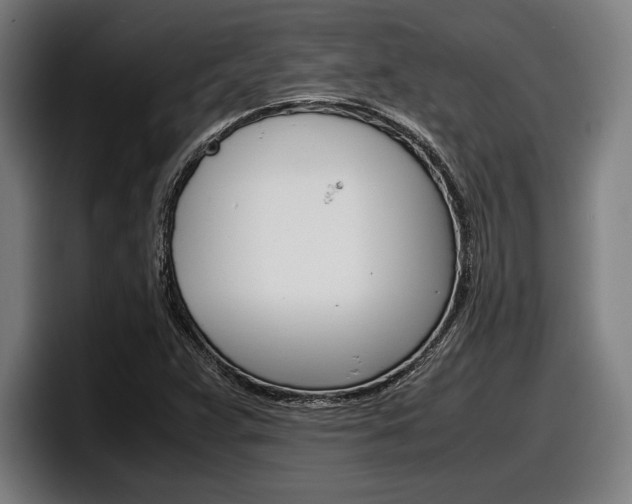 X0000098161359200804171209