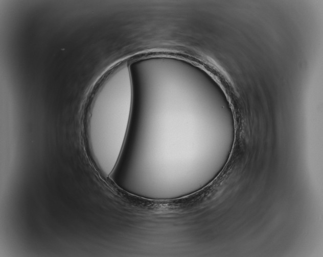 X0000098161360200804171209