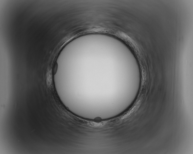 X0000098161361200804171209