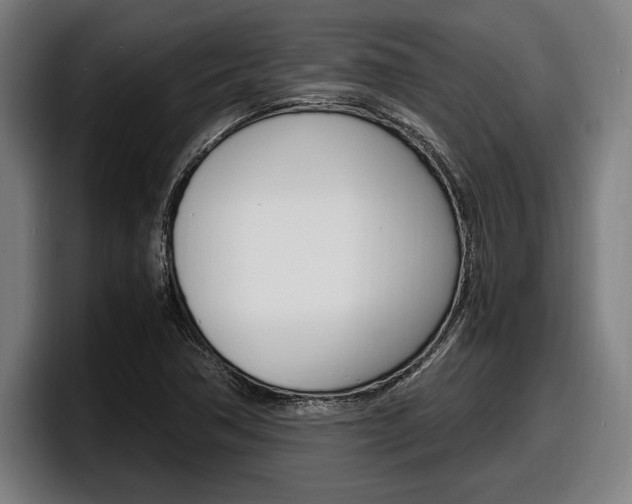 X0000098161362200804171209
