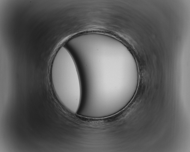 X0000098161363200804171209
