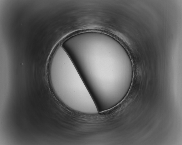 X0000098161364200804171209