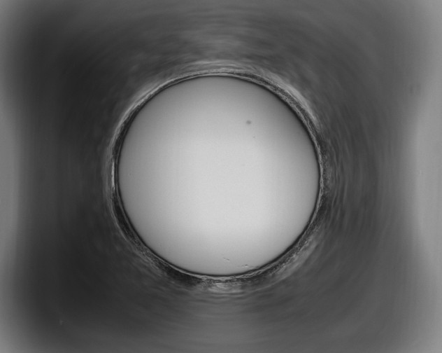 X0000098161365200804171209