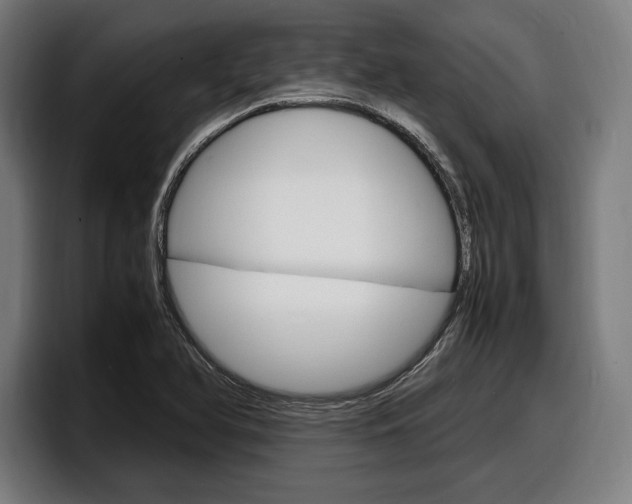 X0000098161366200804171209