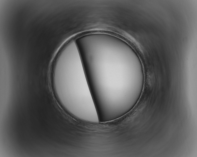 X0000098161368200804171208