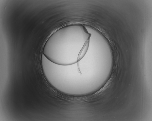 X0000098161369200804171208