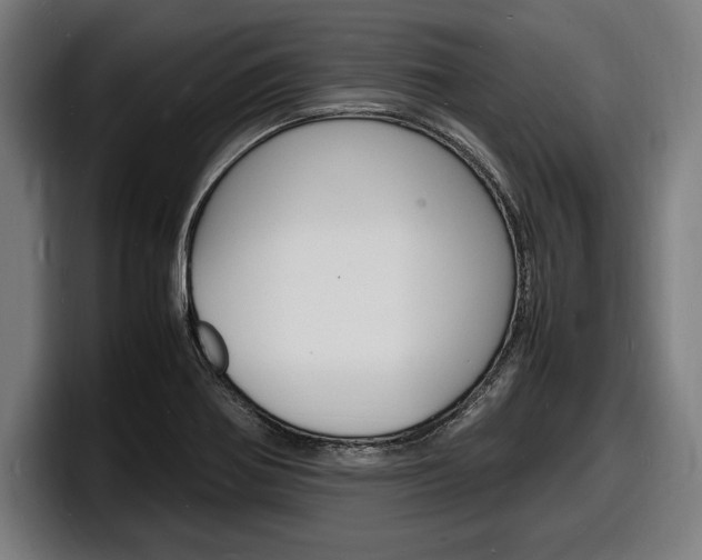 X0000098161370200804171208