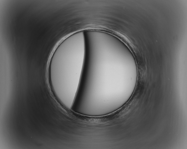 X0000098161371200804171208