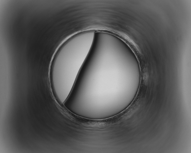 X0000098161372200804171208